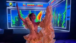 carnavald el suroriente.webp